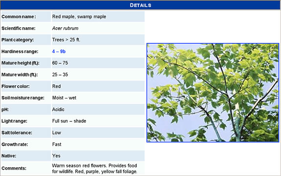 screen shot of a plant from the waterwise plant database