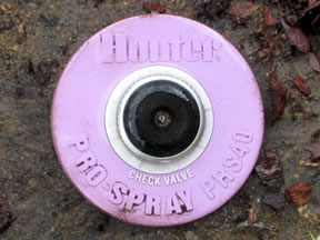 Pink pressure-regulating spray head