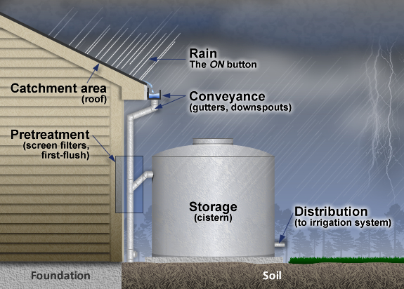 Illustration of a water harvesting setup