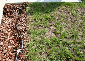 Example of a temporary irrigation system